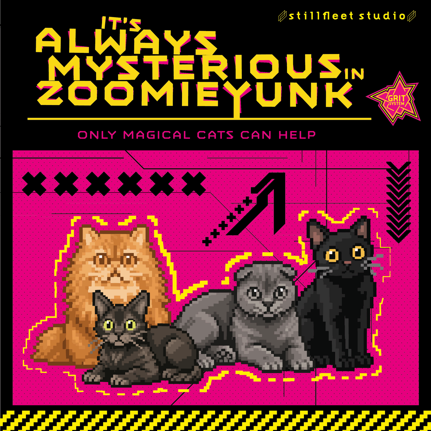It's Always Mysterious in ZOOMIEYUNK